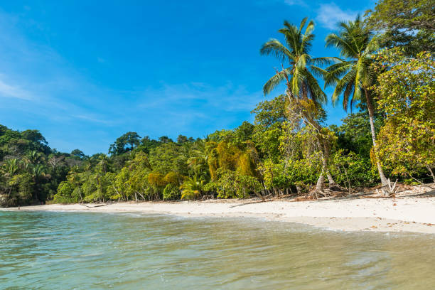 istock Manuel Antonio, Costa Rica - beautiful tropical beach 639877900