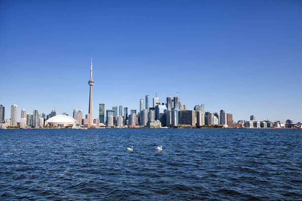 istock Toronto skyline in the morning 639877970