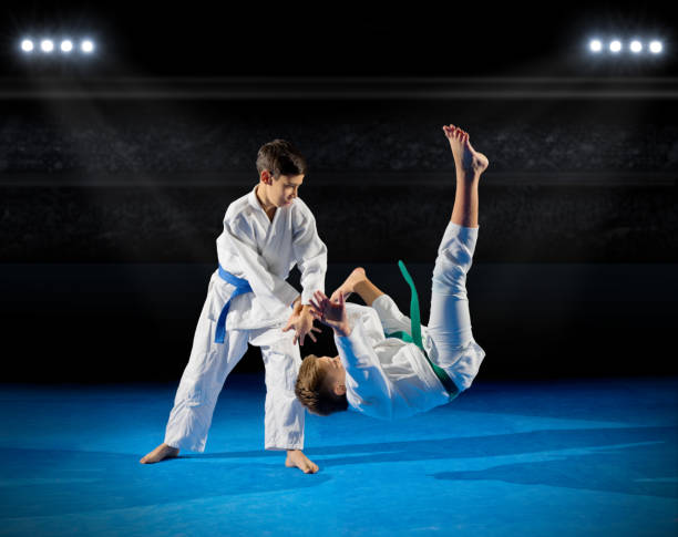 istock Boys martial arts  fighters 639881810