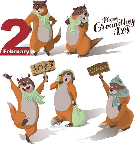 ilustraciones, imágenes clip art, dibujos animados e iconos de stock de feliz día de la marmota. set marmot proyecta sombra - groundhog
