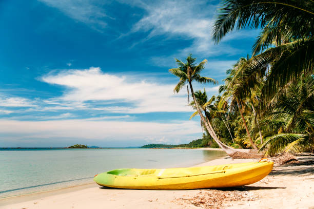 istock tropical beach with curved palm trees and yellow canoe 639883510