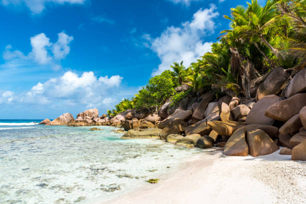 istock Anse Cocos - La Digue, Seychelles 639886854