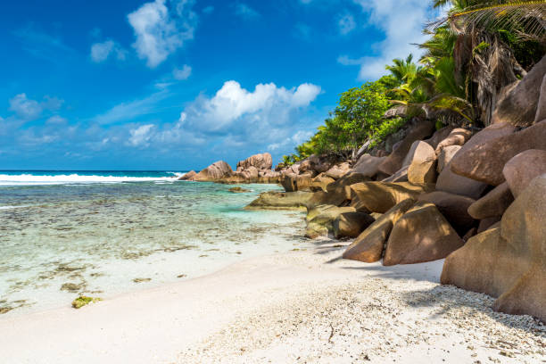 istock Anse Cocos - La Digue, Seychelles 639886946
