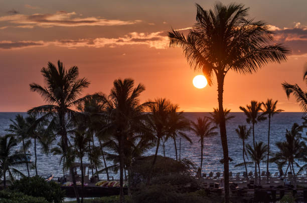 istock Beautiful tropical sunset with palm tree silhouettes and red sky 639888632