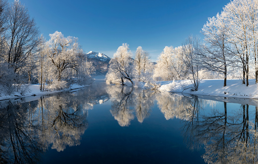 River Loisach flows into the Kochelsee, winter with rime and snow on the trees