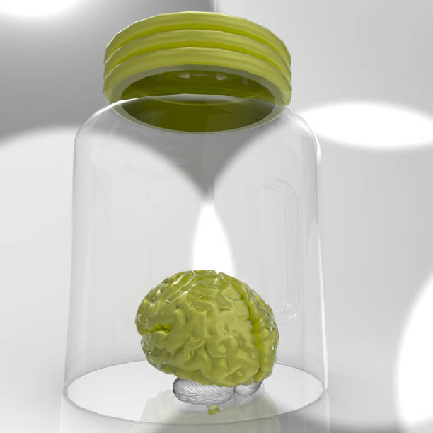 istock Human brain in a glass jar 3d rendering 639892004
