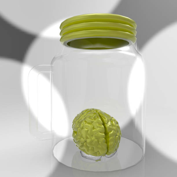 istock Human brain in a glass jar 3d rendering 639892018