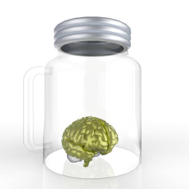 istock Human brain in a glass jar 3d rendering 639892038