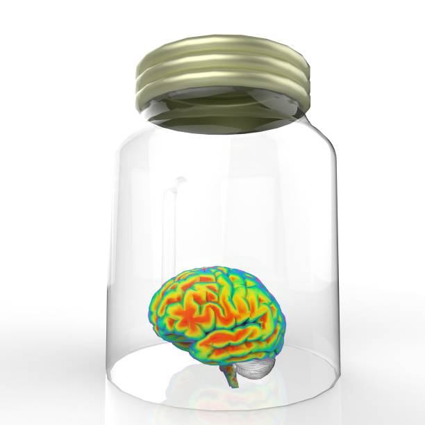 istock Human brain in a glass jar 3d rendering 639892058
