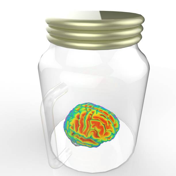 istock Human brain in a glass jar 3d rendering 639892076