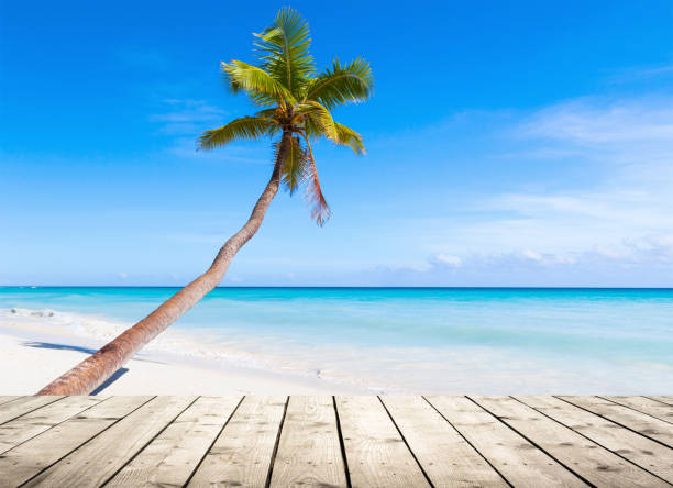 istock Empty wooden pier on Caribbean Sea 639892940