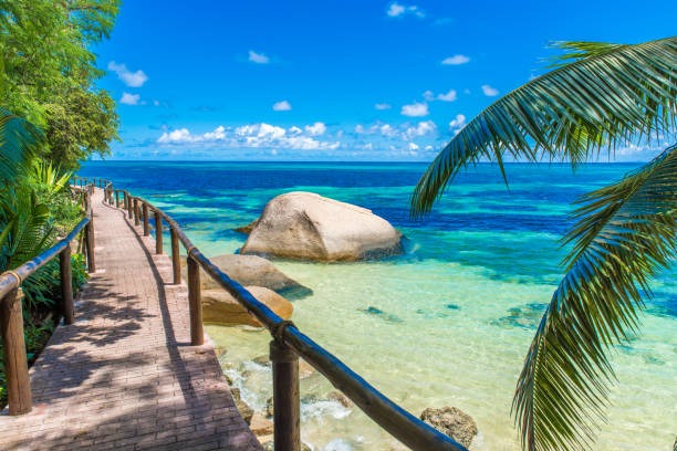 Path at paradise coast Path at paradise coast with clear water and tropical beaches la digue island photos stock pictures, royalty-free photos & images