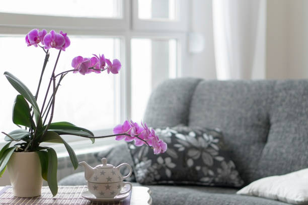 Close-up of empty living room stock photo