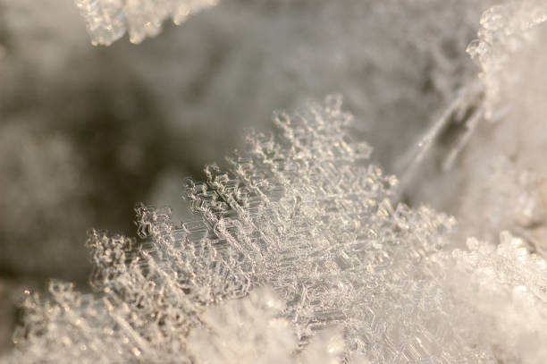 istock natural snowflakes on snow 639898012