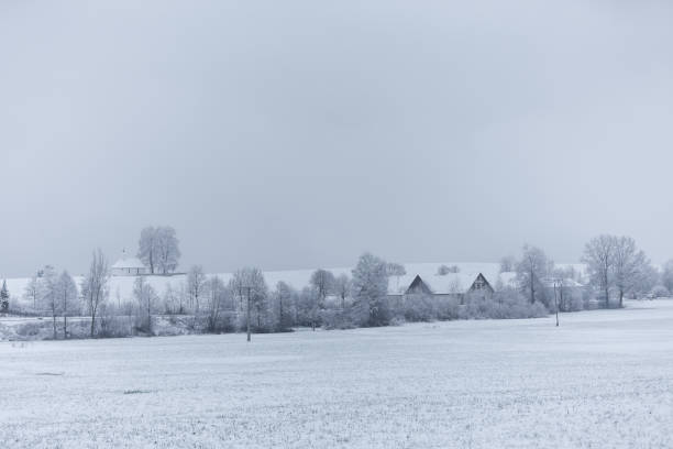 istock Snowy field in Hergensweiler 639898412