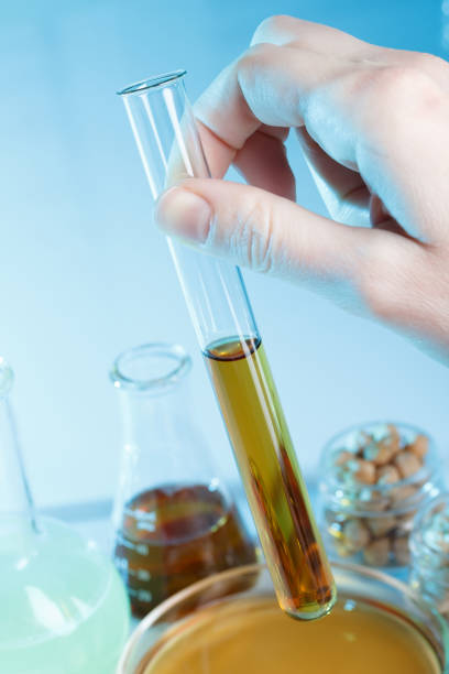 istock Research test result in hand 639899952
