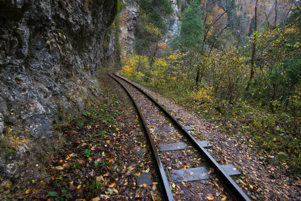 istock Railroad tracks cut through autumn woods 639901774