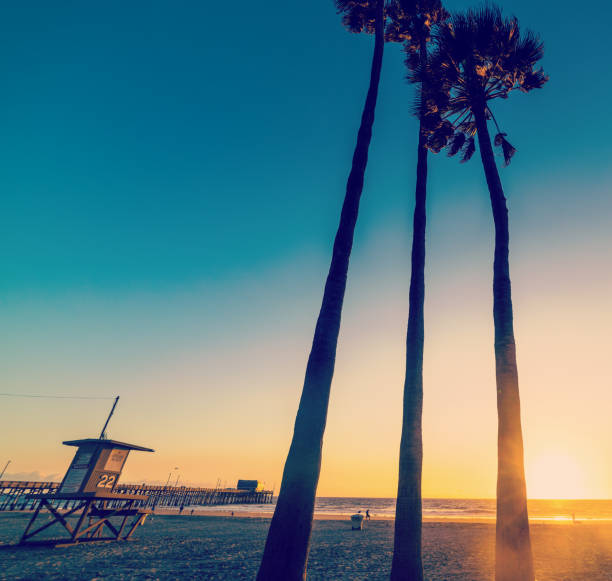 A sunset silhouetted cityscape lined with palmtrees at Long Beach California.