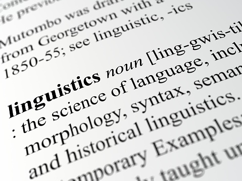 definition of linguistics