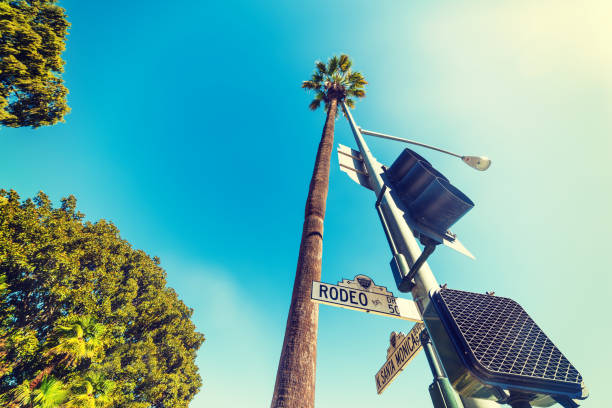 istock Rodeo drive road sign 639908132