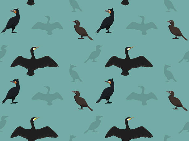 ilustrações, clipart, desenhos animados e ícones de papel de parede cormorão-pássaro - great black cormorant
