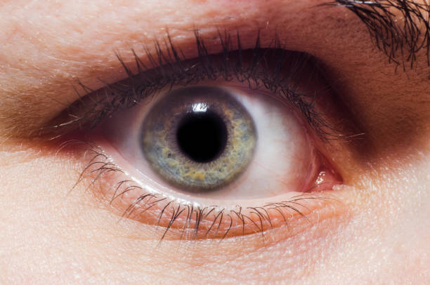istock Close up human extreme macro eye with natural eyelash 639909172