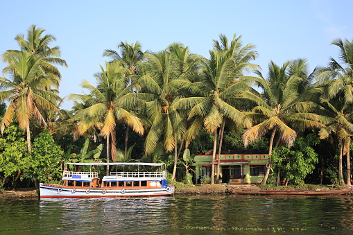 Kerala backwaters,in alleppey, Kerala, India