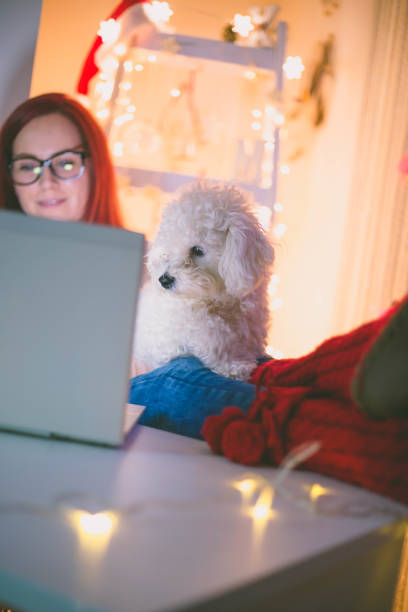 istock Woman works hard on computer at Christmas time. 639915272