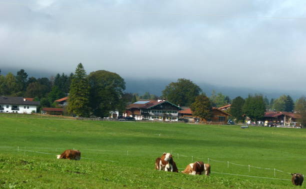 istock Farmhouses in Upper Bavaria 639915550