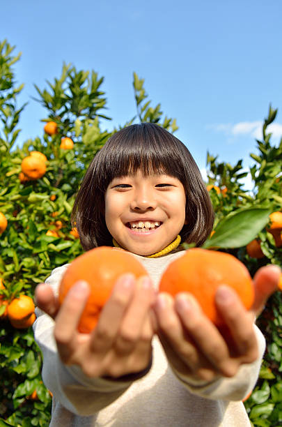 istock Japanese girl picking orange 639917128