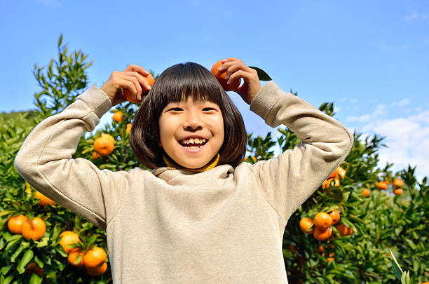 istock Japanese girl picking orange 639917196