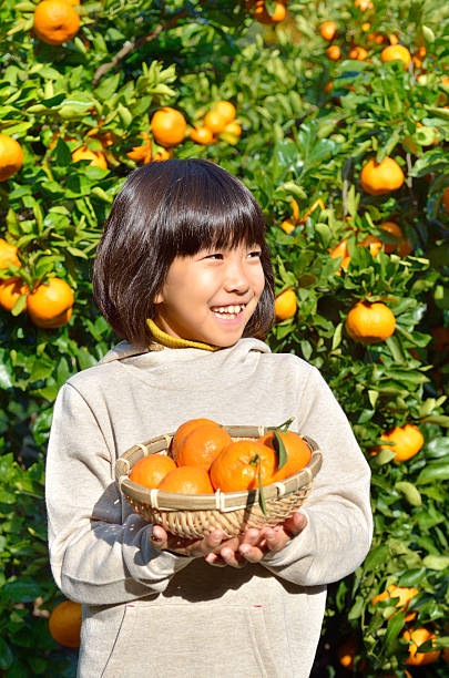 istock Japanese girl picking orange 639917430