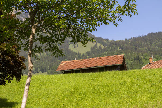 istock Idyllic landscape in the Alps 639917686