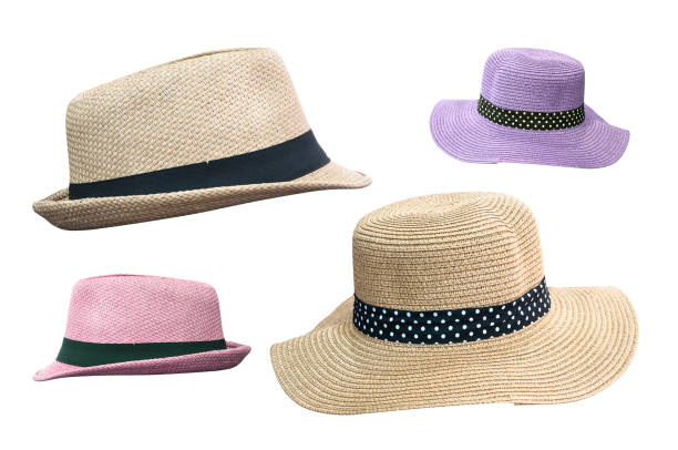 istock Woven fedora hat isolated on white background with clipping path 639919568