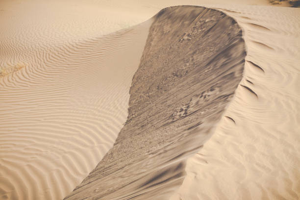 istock Sand dunes in the Sahara Desert, Morocco 639919716
