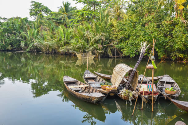 istock Mekong Delta in Vietnam 639920300