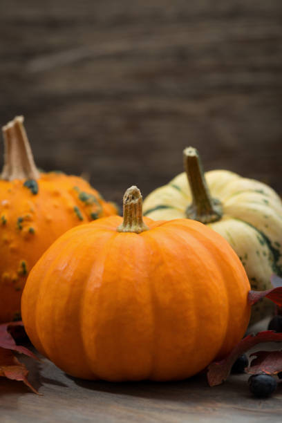 istock composition with pumpkins and autumn leaves, closeup vertical 639928800