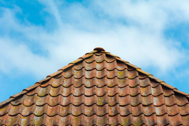istock Old red roof with lichen 639929742
