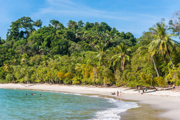 istock Manuel Antonio, Costa Rica - beautiful tropical beach 639929902