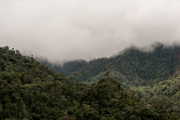 istock Mindo in the tropical rainforest of Ecuador 639932414