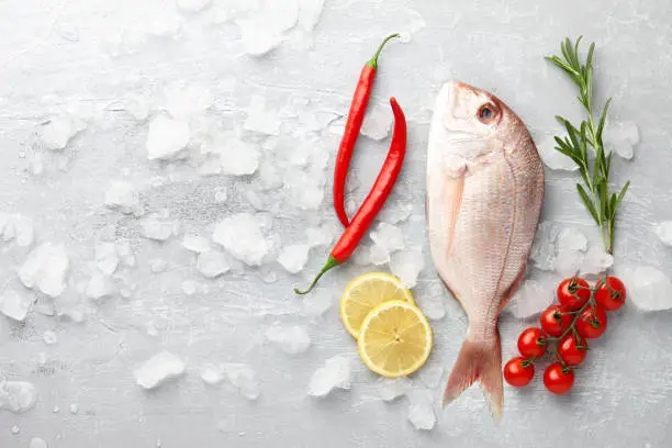 Fish cooking: fresh red Japanese seabream, lemon slices, chili pepper, cherry tomatoes and rosemary on gray stone background