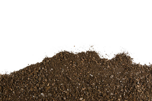 istock Garden soil texture frame background top view isolated on white 639933200