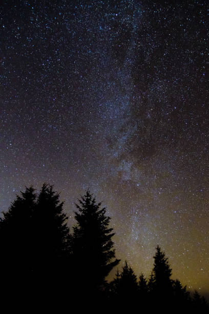 istock Milky way from forest in the Brecon Beacons National Park 639934920