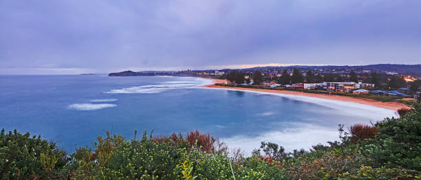 Sea Mona vale beach set aerial