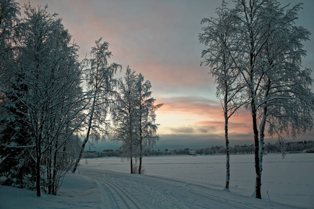 istock Winter landscape in Finland 639942806