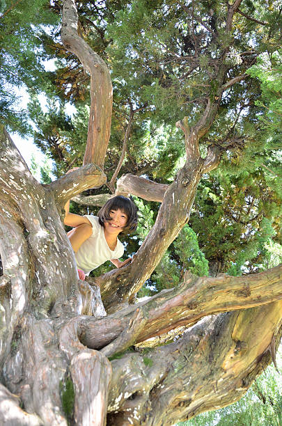 istock Smiling Japanese girl 639944284