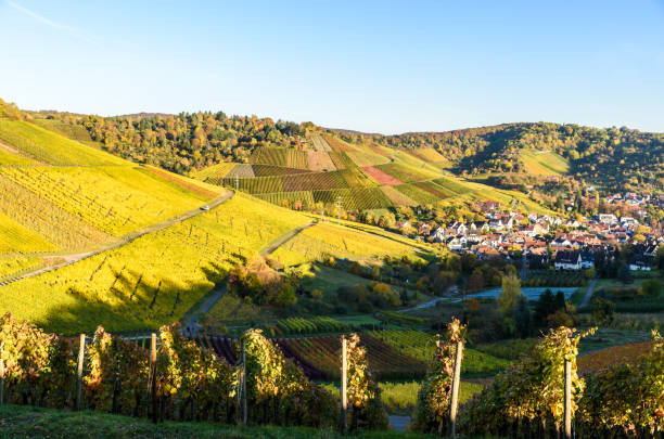 istock Vineyards at Stuttgart - beautiful wine region 639944350