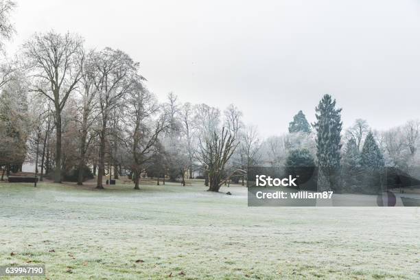 Frozen Grass And Trees At Park In Luxembourg Stock Photo - Download Image Now - Yard - Grounds, Winter, Public Park