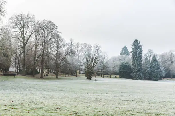 Photo of Frozen grass and trees at park in Luxembourg