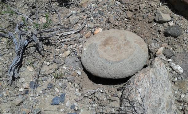 istock Prehistoric Mortar/Grinding Stone 639949386